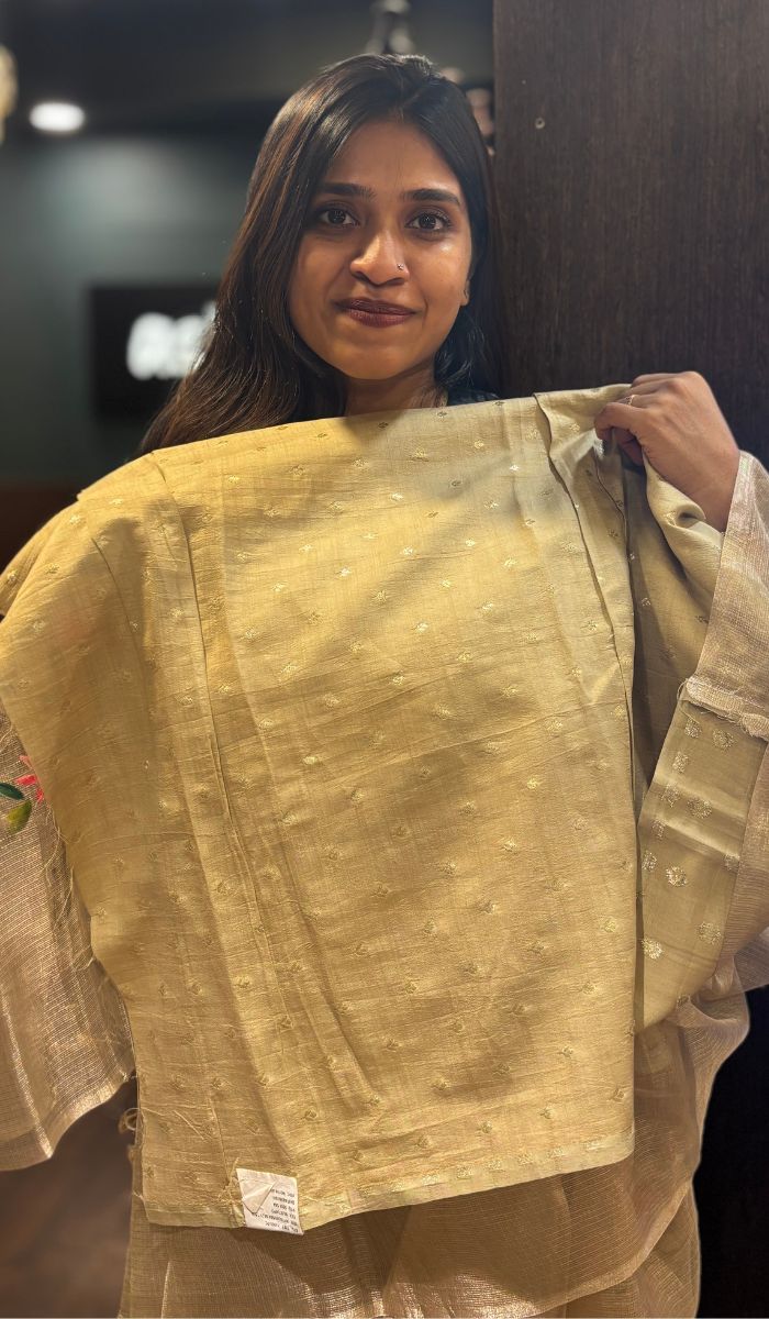 TISSUE ORGANZA SAREE 12042518