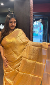 SEMI TISSUE SAREE 02022511