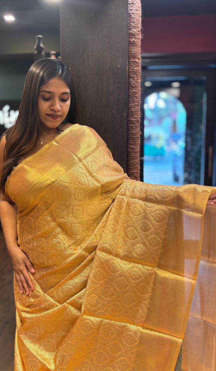 SEMI TISSUE SAREE 02022511