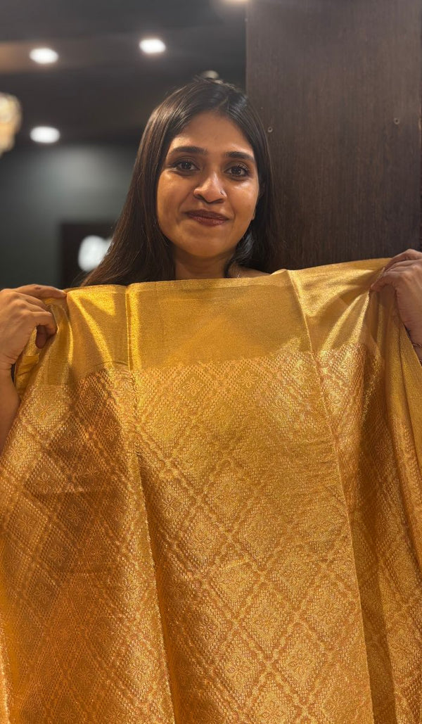 SEMI TISSUE SAREE 02022511