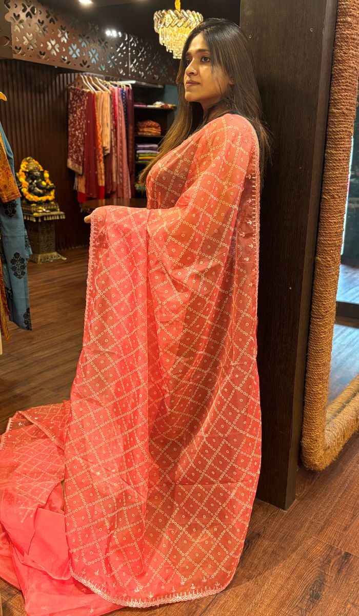 SEMI ORGANZA SAREE 220525147 – Ashima Fashion Store