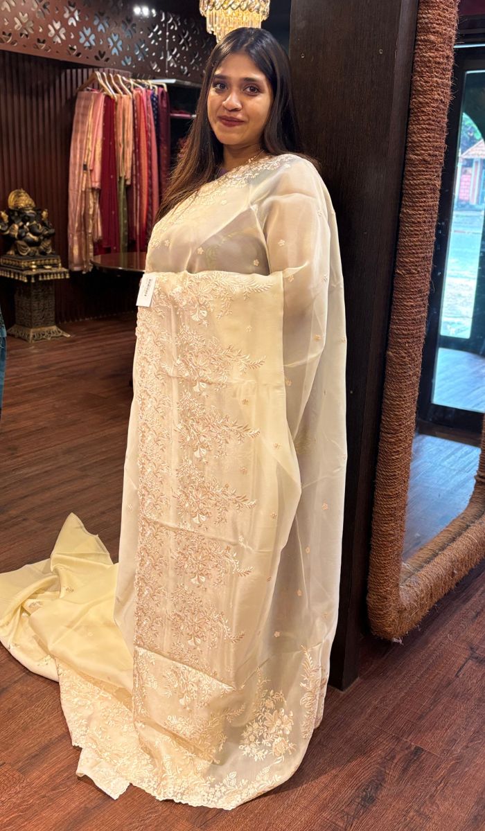 ORGANZA SAREE 22052526