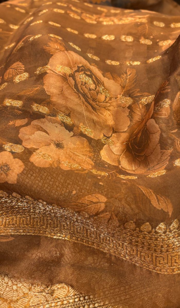 ORGANZA SAREE 2805255