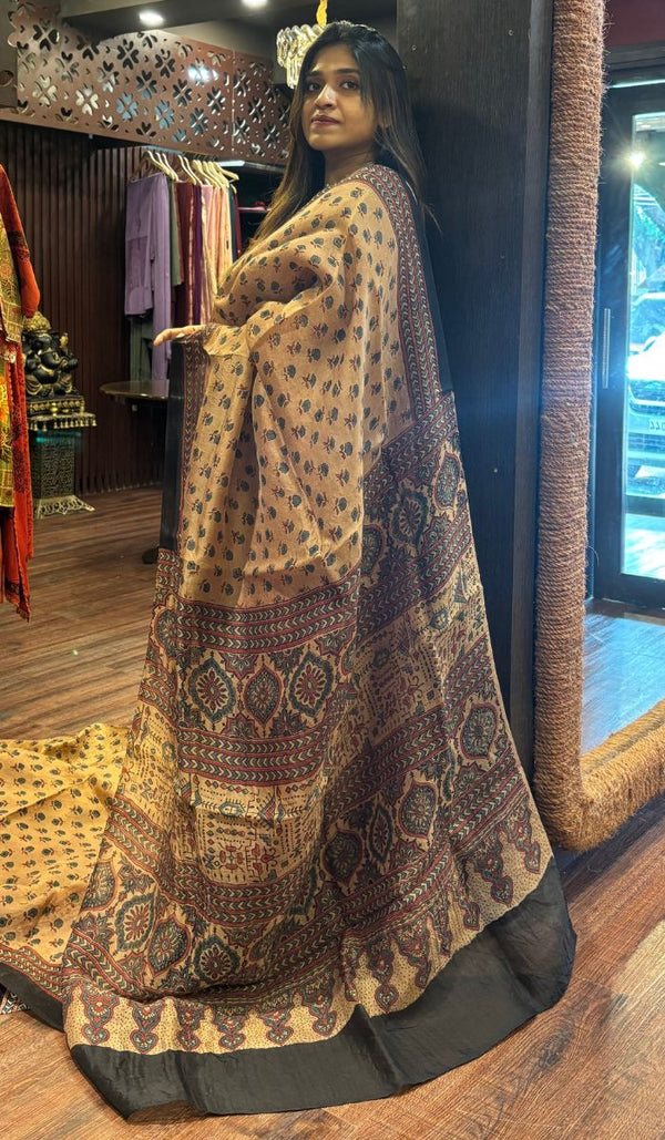 ORGANZA SAREE 01062511