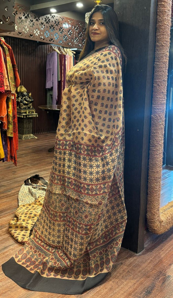 ORGANZA SAREE 0106259