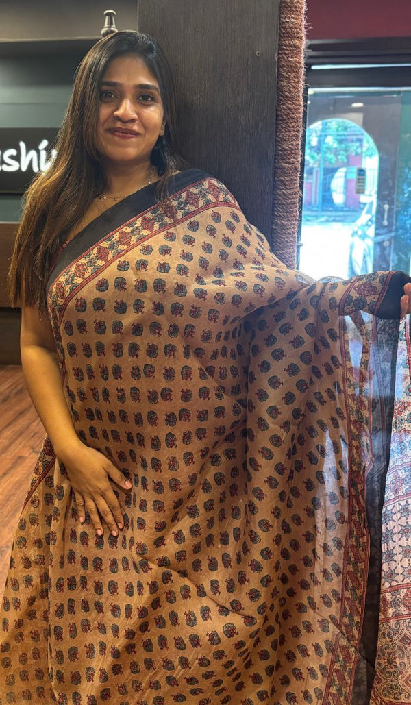 ORGANZA SAREE 0106259