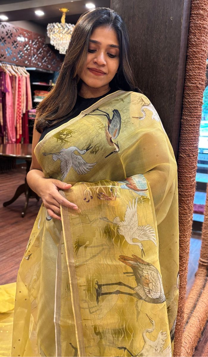 ORGANZA SAREE 10072511