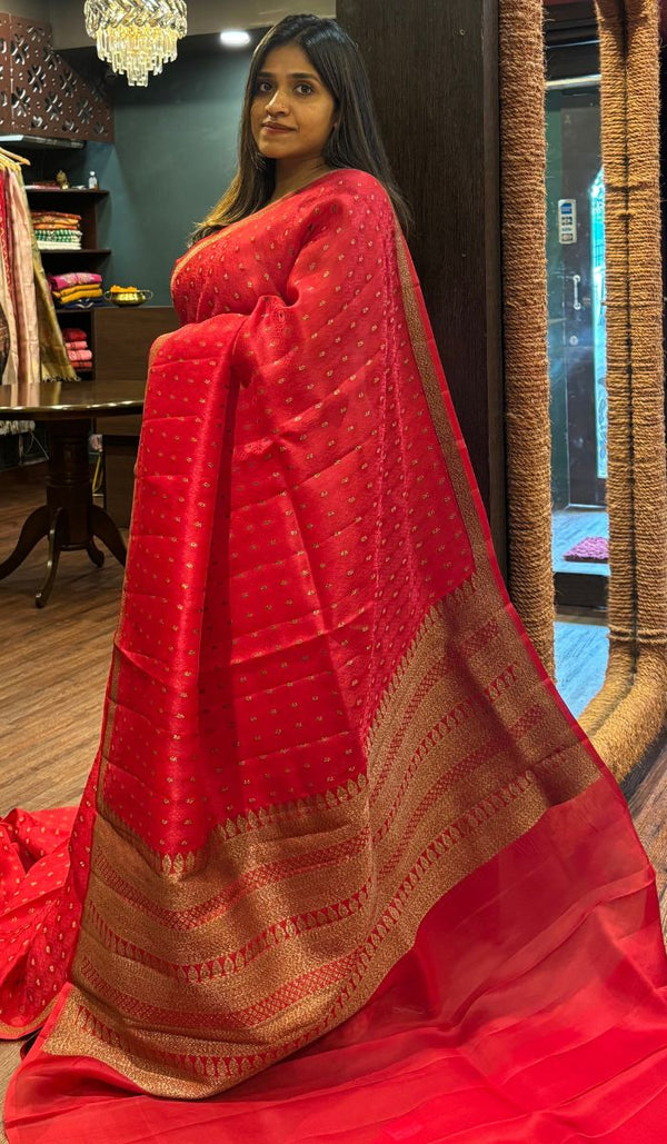 ORGANZA SAREE 13072520