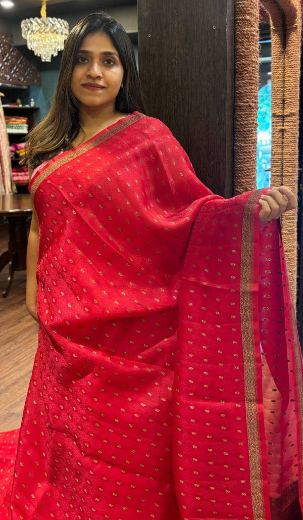 ORGANZA SAREE 13072520