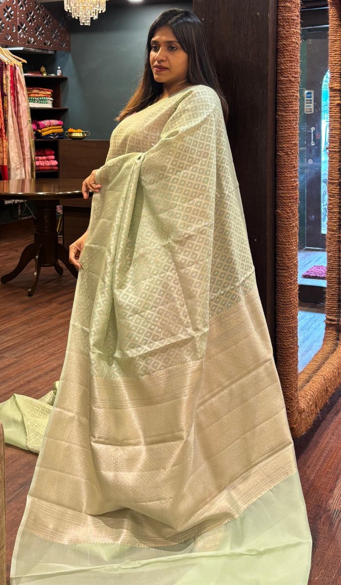 ORGANZA SAREE 13072525