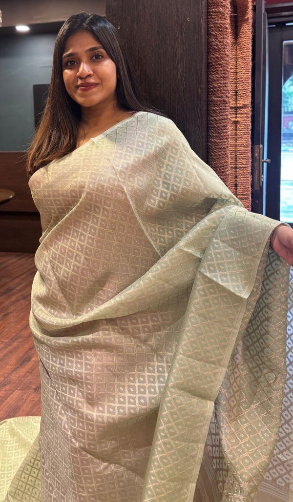 ORGANZA SAREE 13072525