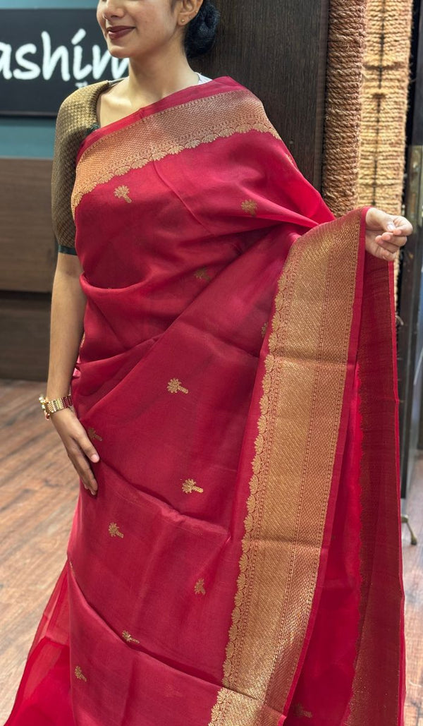 KORA ORGANZA SAREE 1607257