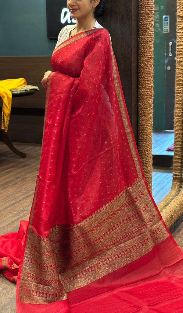 ORGANZA SAREE 13072521