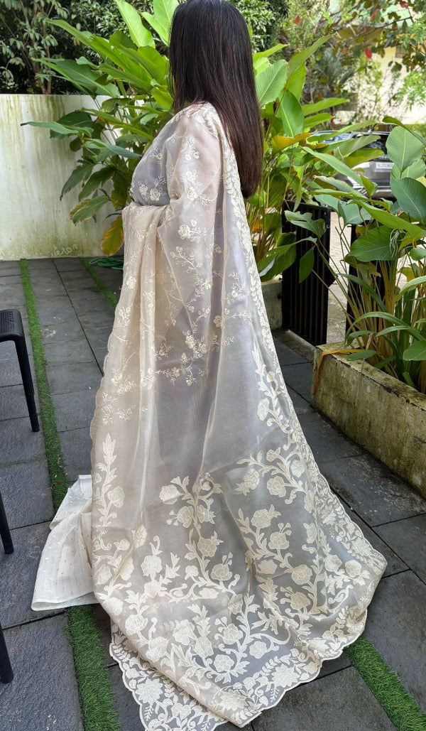 ORGANZA SAREE 2908253