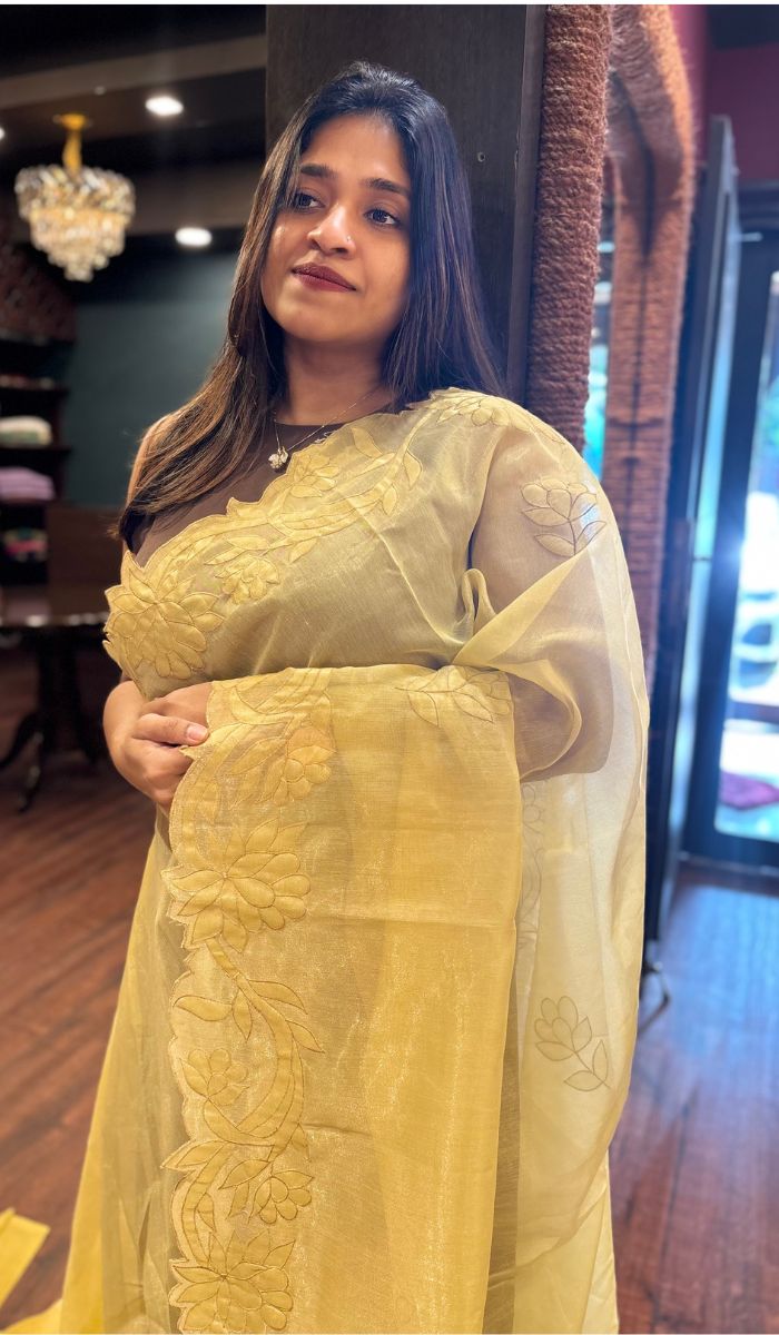 TISSUE LINEN SAREE 01092523