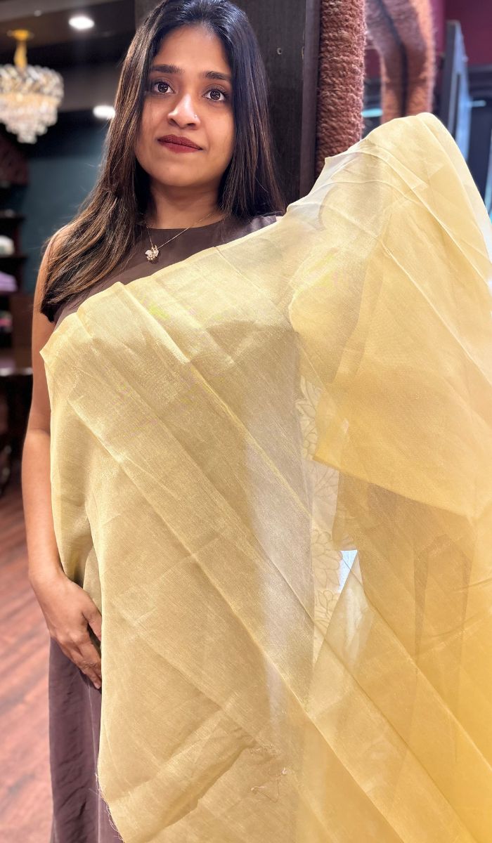 TISSUE LINEN SAREE 01092523