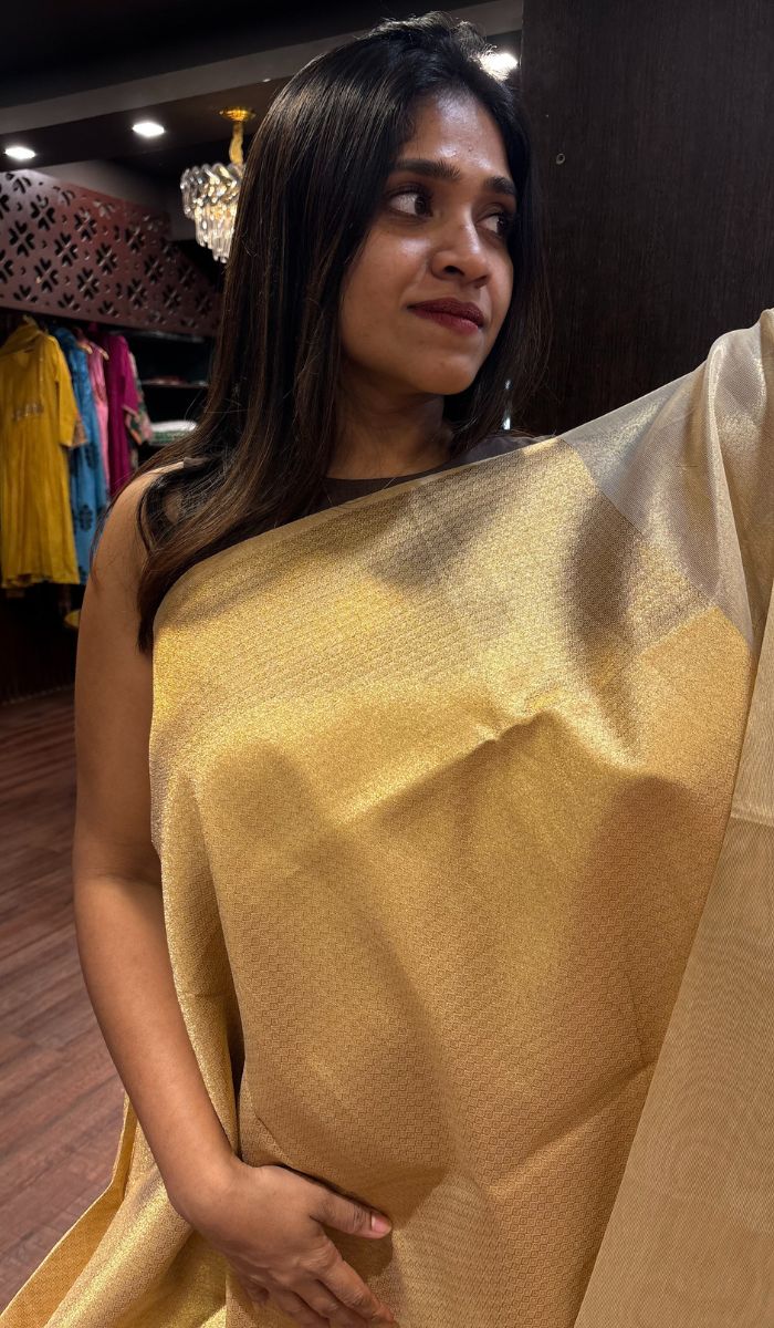 TISSUE SAREE 010925118