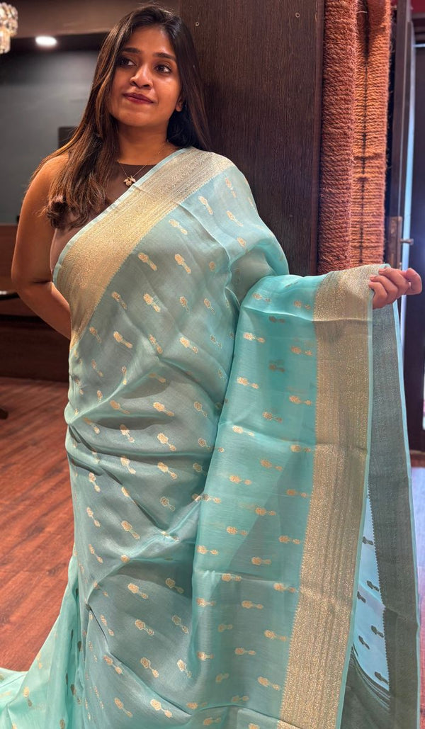 KORA ORGANZA SAREE 0809255