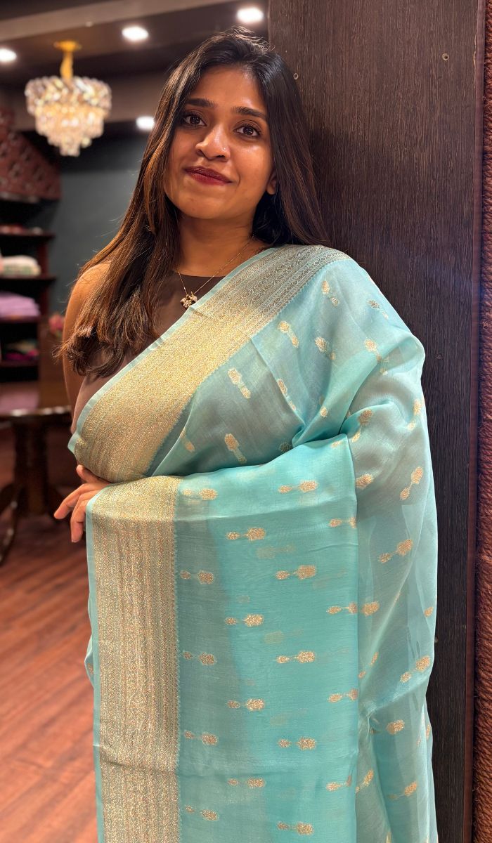KORA ORGANZA SAREE 0809255