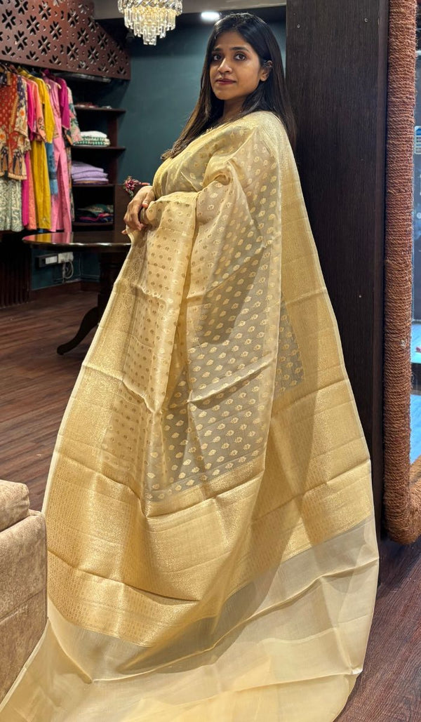 KORA ORGANZA SAREE 0809251