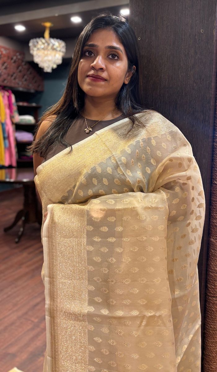 KORA ORGANZA SAREE 0809251
