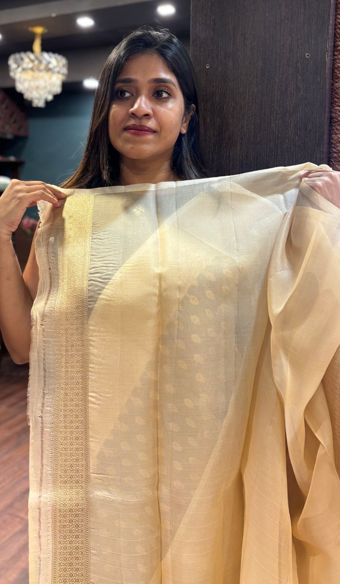 KORA ORGANZA SAREE 0809251