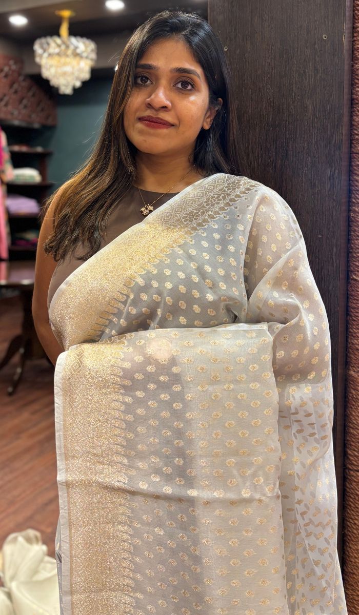 KORA ORGANZA SAREE 0809254