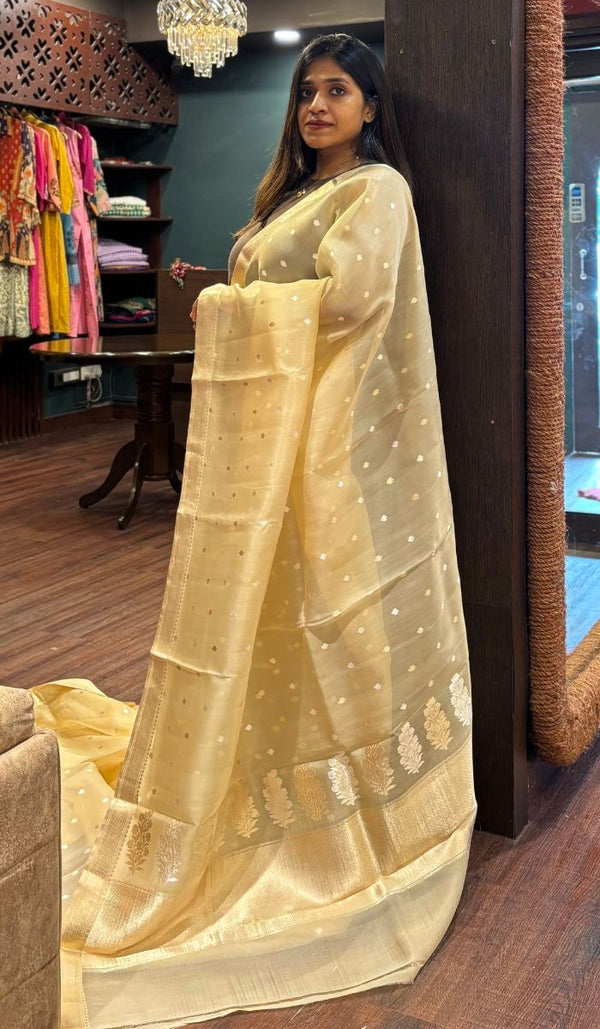 KORA ORGANZA SAREE 0809253
