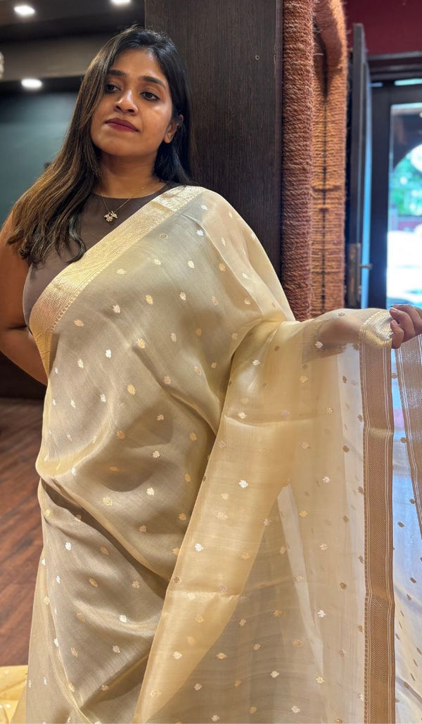 KORA ORGANZA SAREE 0809253