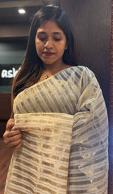 TISSUE SAREE 11092519