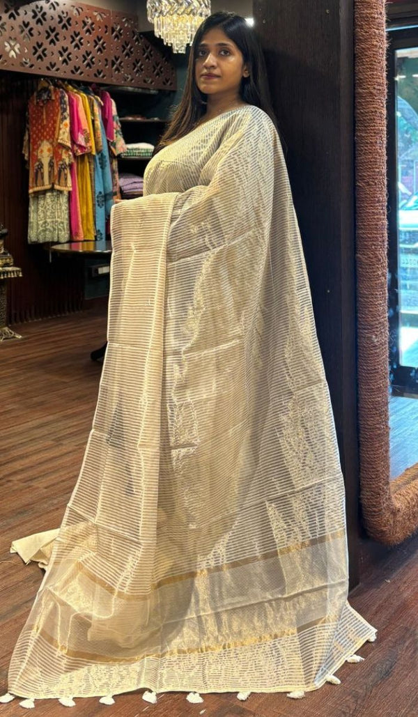 TISSUE SAREE 11092520