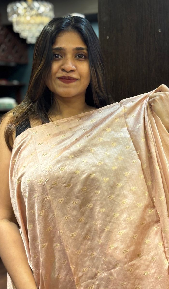 TISSUE ORGANZA SAREE 12092552