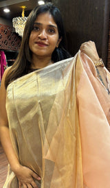 ORGANZA SAREE 01092513