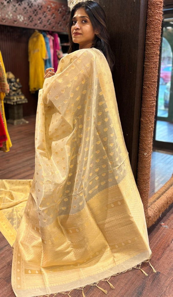 ORGANZA SAREE 2305252