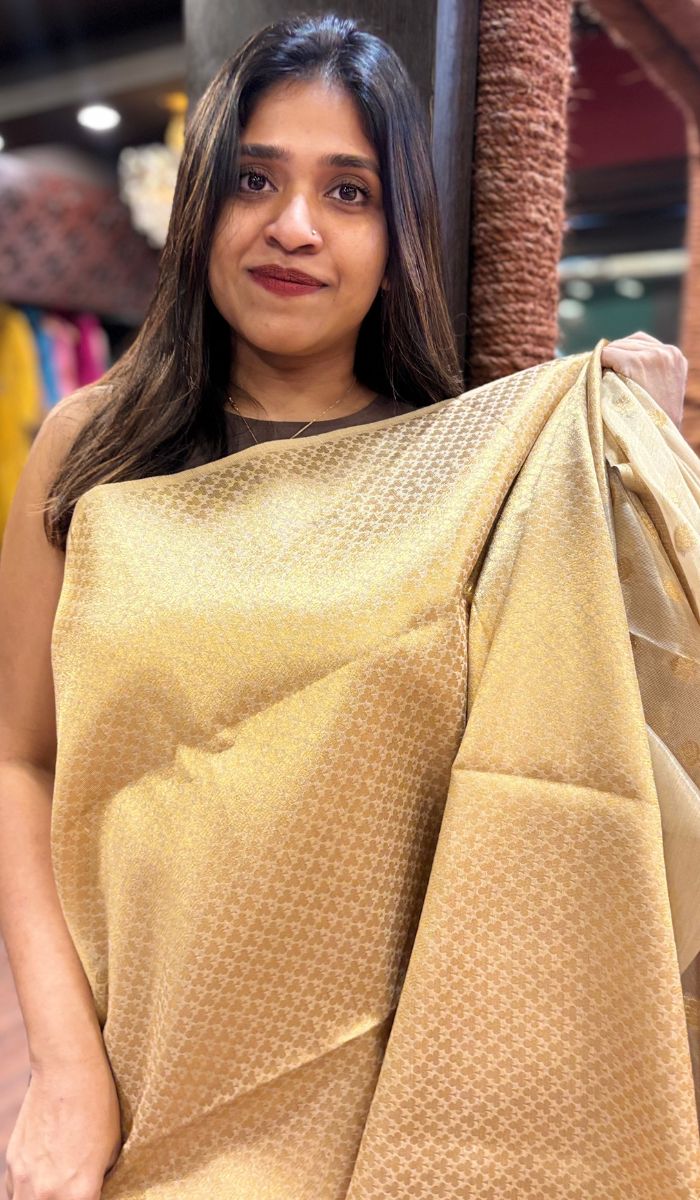 ORGANZA SAREE 2305252