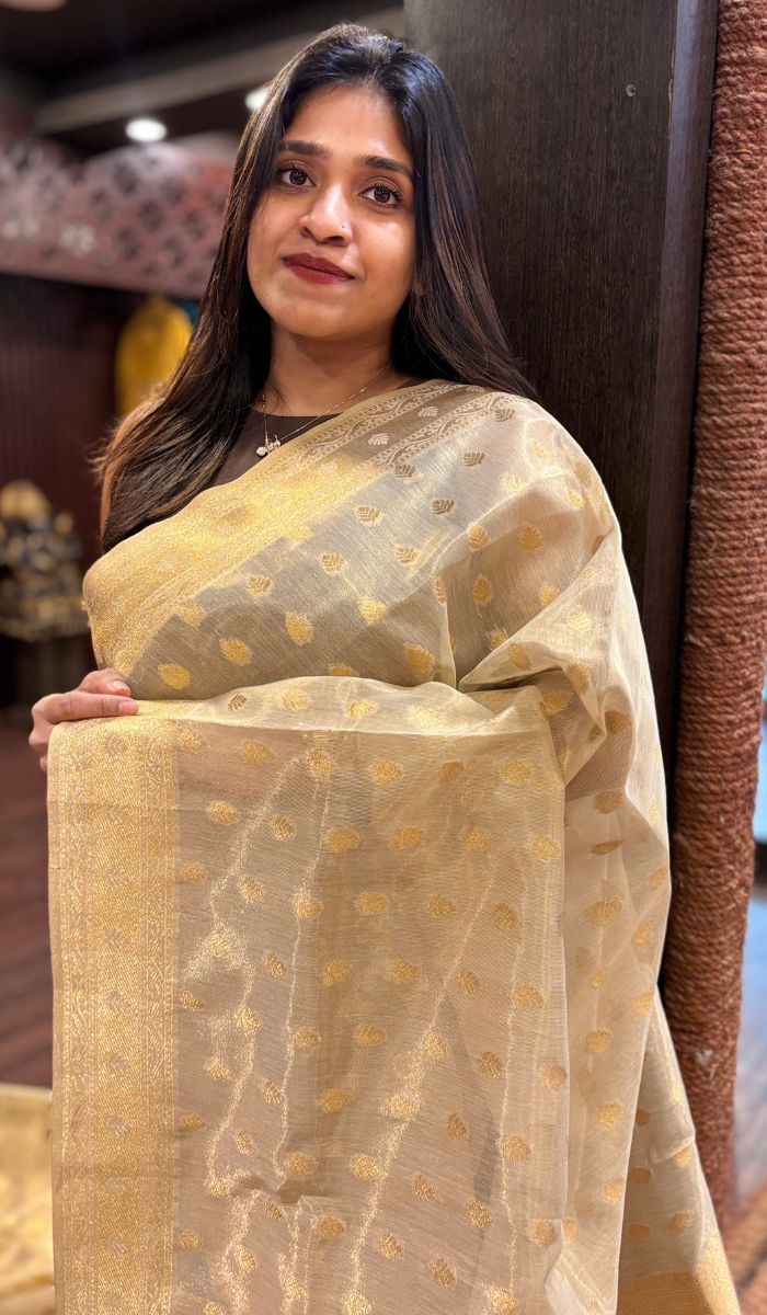 ORGANZA SAREE 2305252