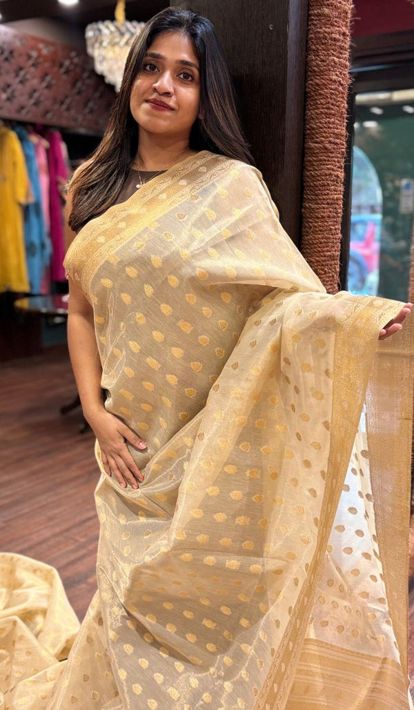 ORGANZA SAREE 2305252