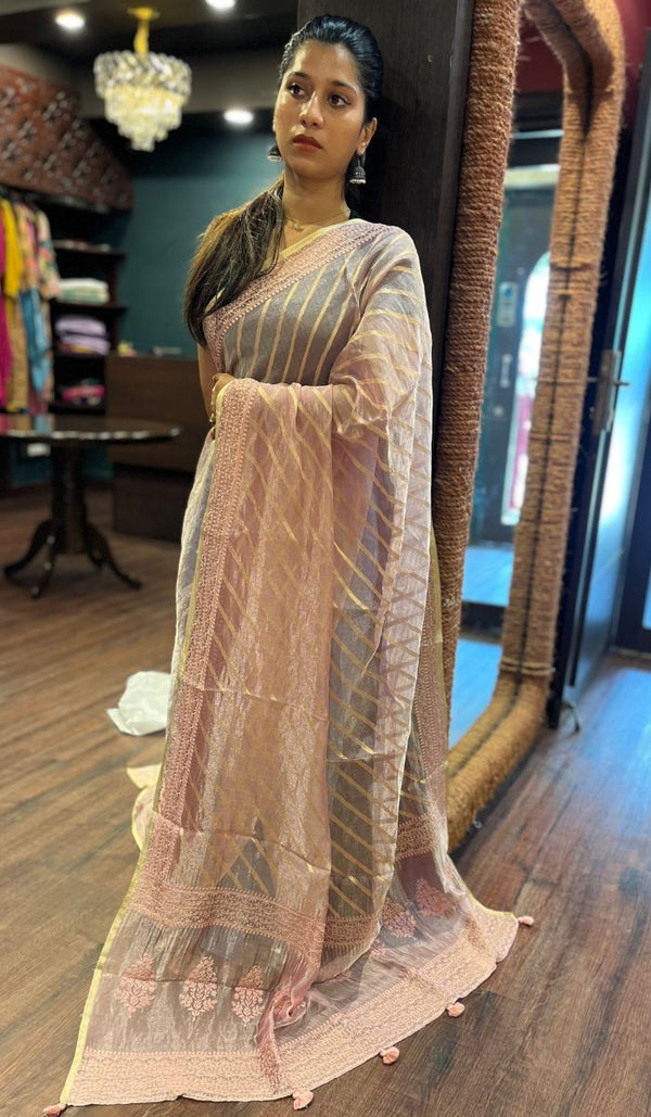 ORGANZA SAREE 12092529