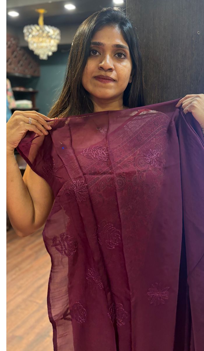 SEMI ORGANZA SAREE 13092564
