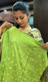 CHIFFON SAREE 24092517