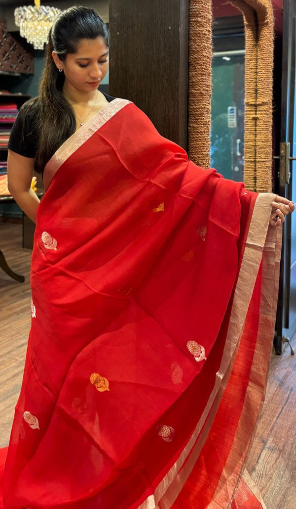 ORGANZA SAREE 24092522