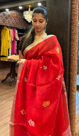 ORGANZA SAREE 24092522