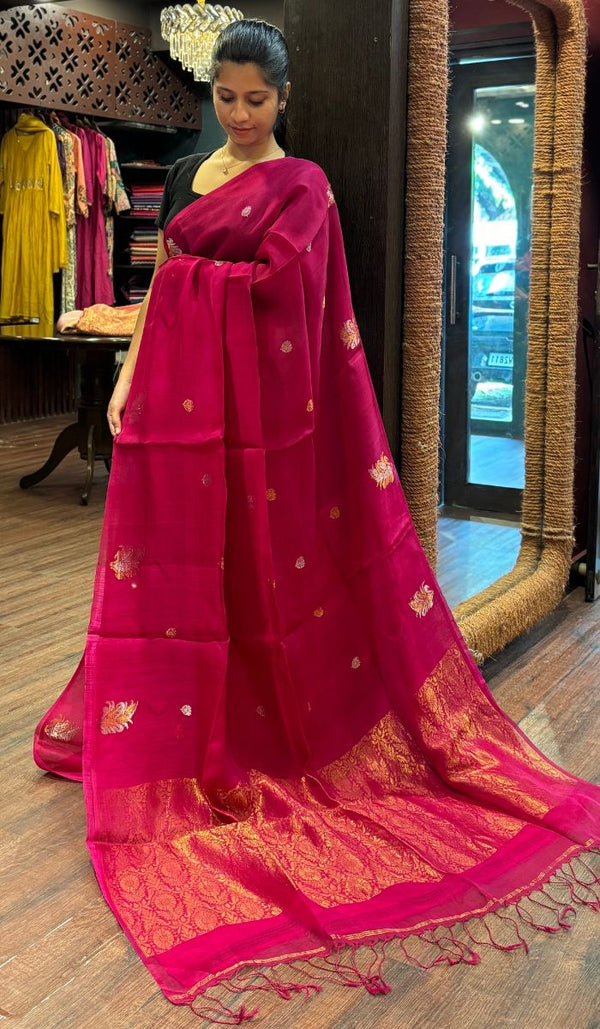 ORGANZA SAREE 24092523