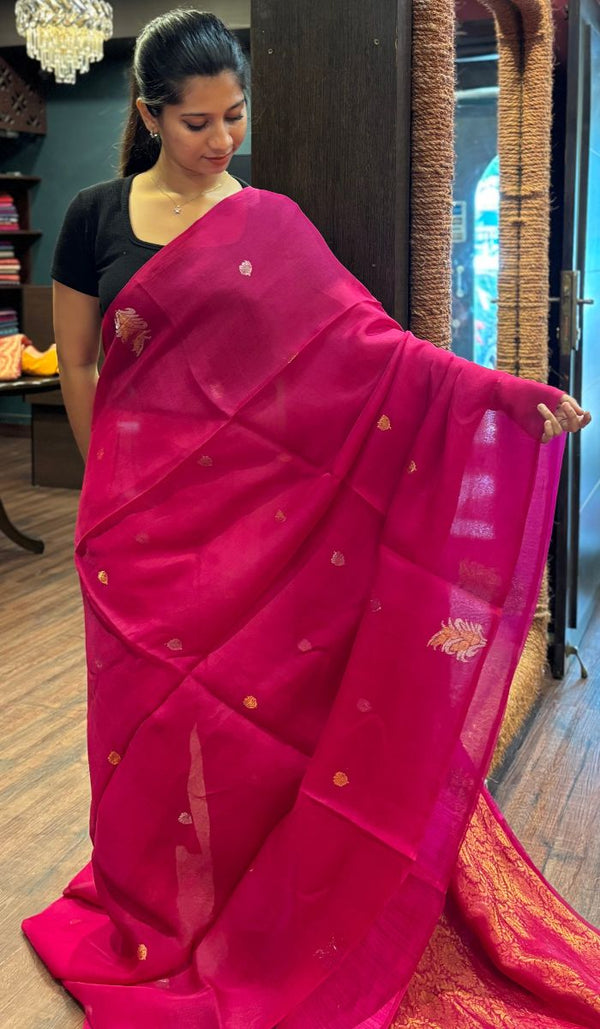 ORGANZA SAREE 24092523