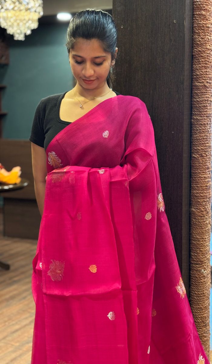 ORGANZA SAREE 24092523