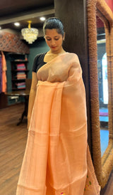 ORGANZA SAREE 2609258