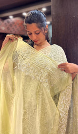 CHIKANKARI SAREE 01102511