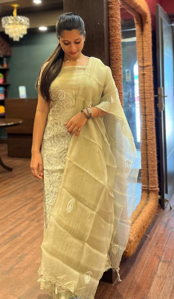 ORGANZA UNSTITCHED SALWAR 01102519