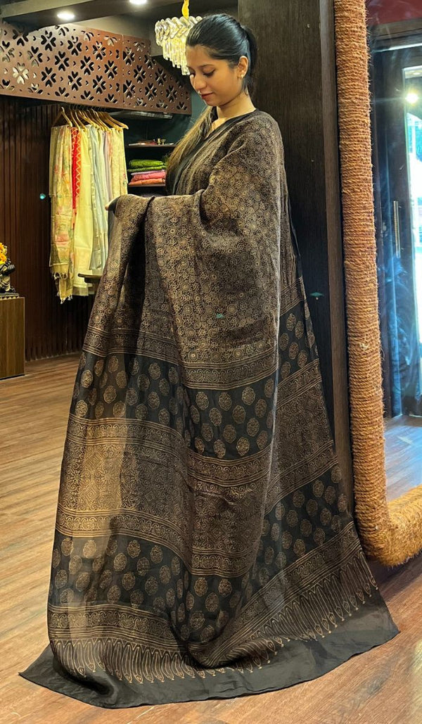 ORGANZA SAREE 20102520