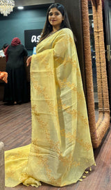 TISSUE ORGANZA SAREE 1209254